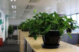 擺放電腦辦公桌最理想的方位